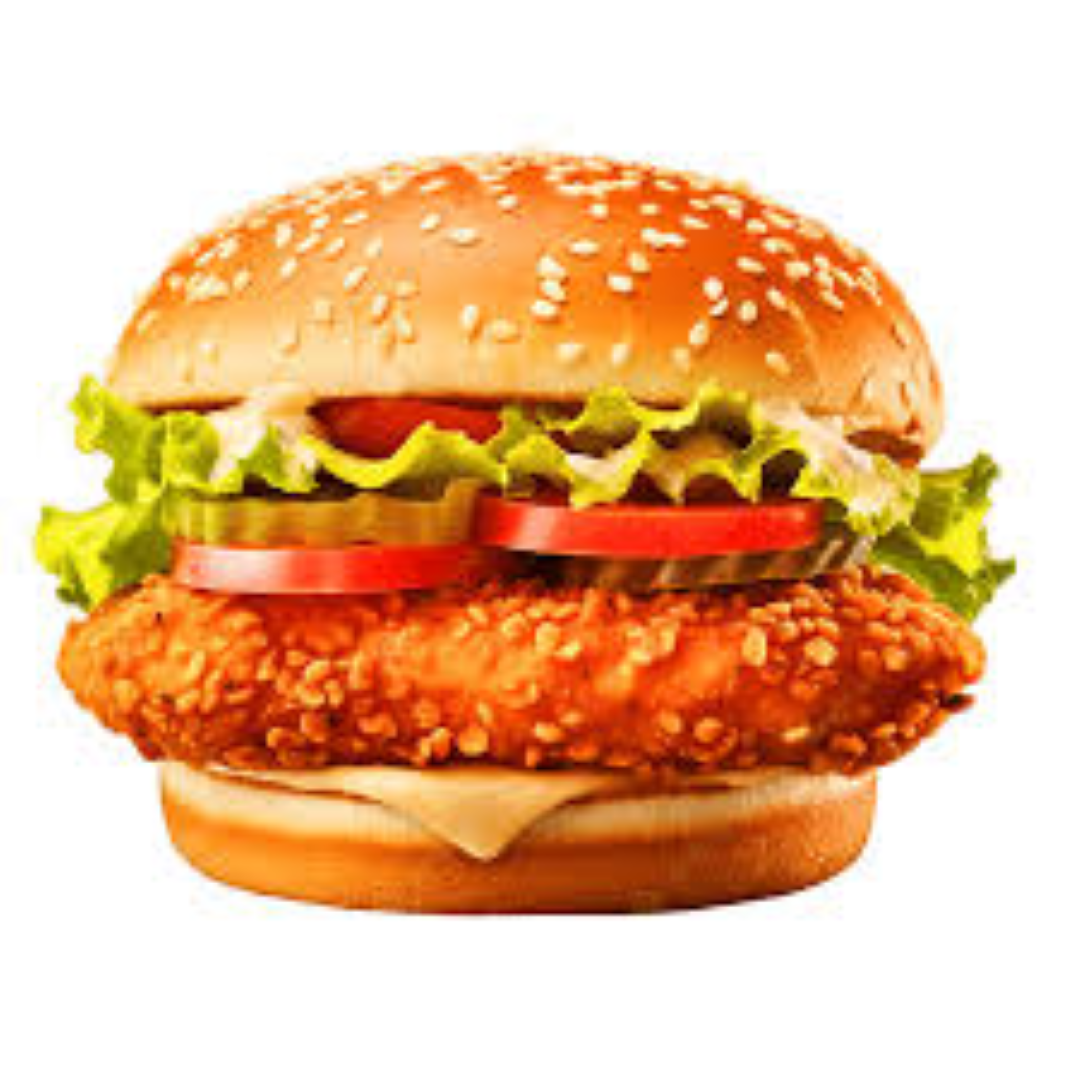 FCL CHICKEN BURGER 1KG